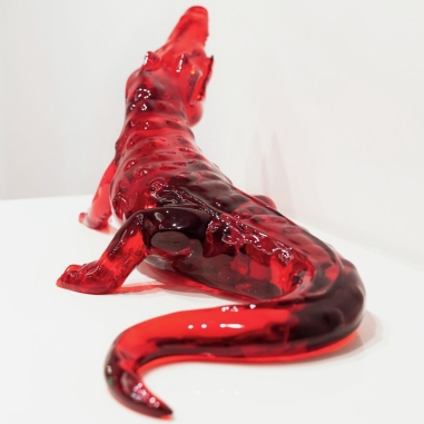 Crocodile crystal clear